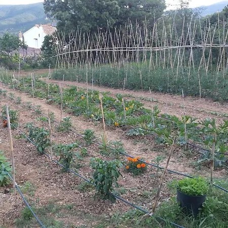 Il Debbione Nibbiaia
